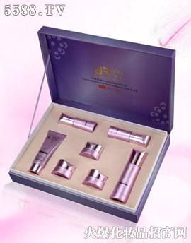 �V�|�WȪ�����Ƽ����޹�˾���O�������ɫ�v��߼���