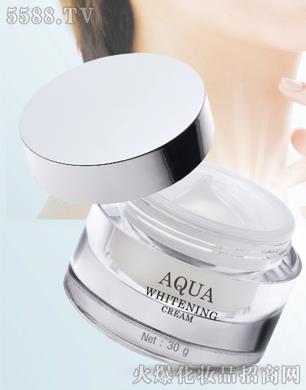 PDL(̩��(gu��))���yƷ���޹�˾��̩��(gu��)�a(b��)ˮ����˪AQUA WHITENING CREAM