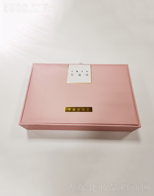 ��ۿ���ʢ�����F(tu��n)���޹�˾������Ԋǧ�ɰ����׺�