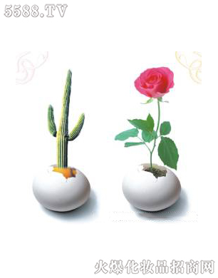 �Ϻ���������Ƽ����޹�˾����ǻ�ޏ�3��ɆT