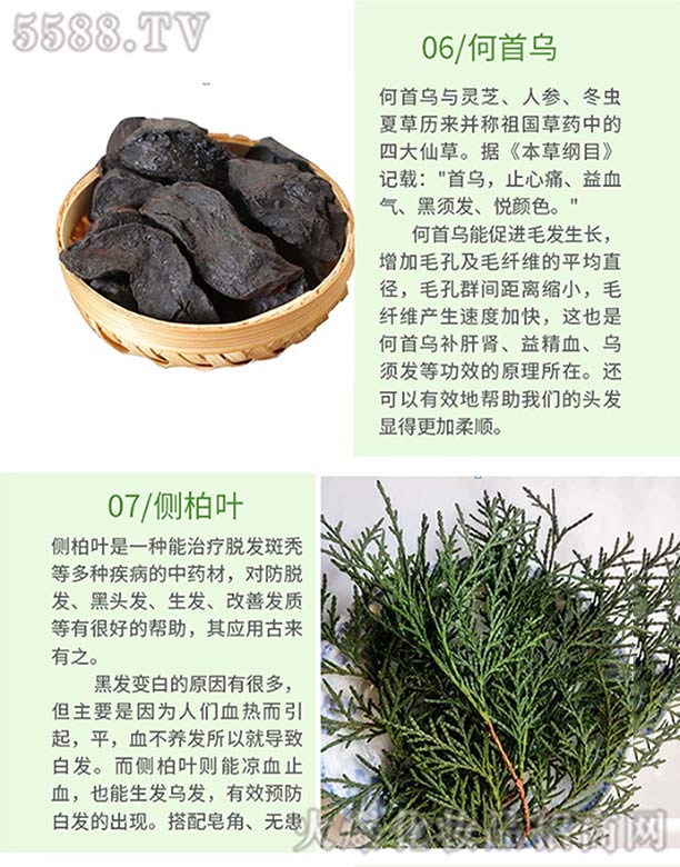 Ȫ���ֿ��t(y��)ˎ���޹�˾���l(f��)ѾѾ�ݱ�ֲ�����ϴ�l(f��)�飨���מ�����(c��)���~��