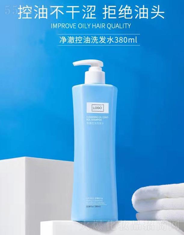 ���ϑ�ѩ����Ƽ����޹�˾����������ϴ�l(f��)ˮ 380ml