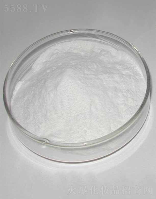 �ɶ������������޹�˾������-9/������/������