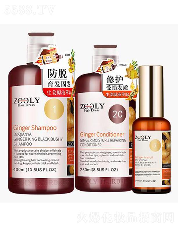 �ɶ�׿�{(l��n)���̄�(w��)��Ϣ��ԃ���޹�˾��ZOOLY-׿�{(l��n)�ŷ�Ó���l(f��)��ͥ�o(h��)���׽M��3֧�b��