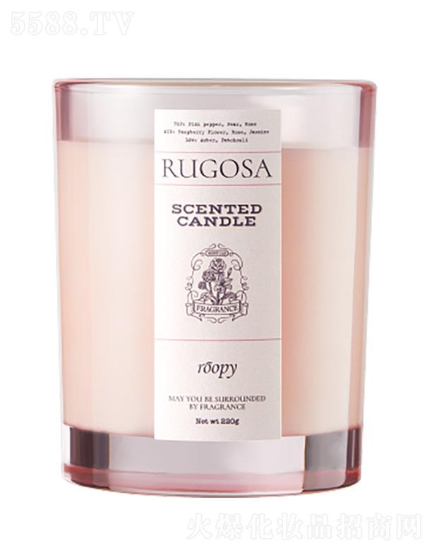 ���ݺ�������Ƽ����޹�˾�������o��õ�� �� õ�����{(di��o)��޹Ϟ�T