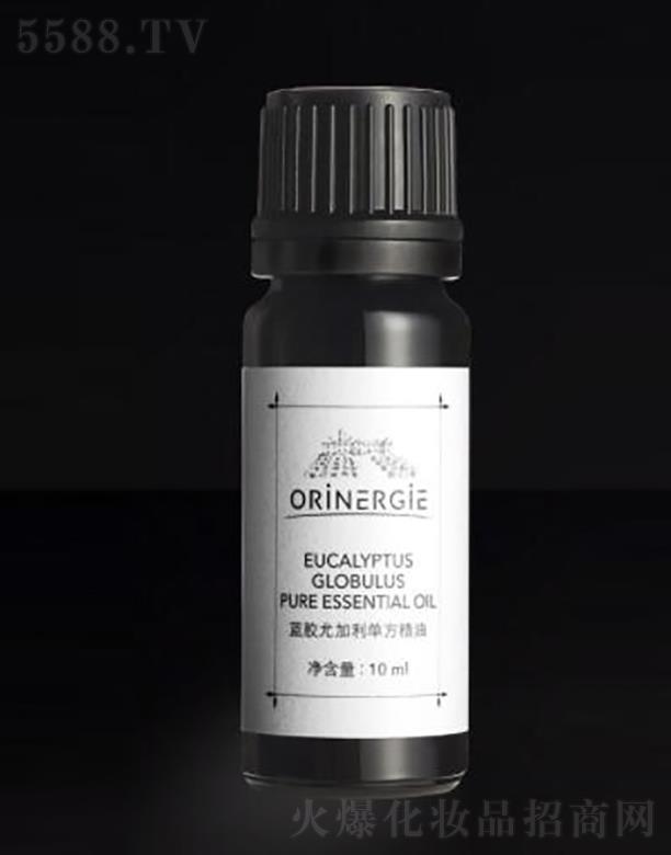 �W��{�������ڣ����ݿƼ����޹�˾��ORiNERGiE�{(l��n)�z�ȼ����η�����