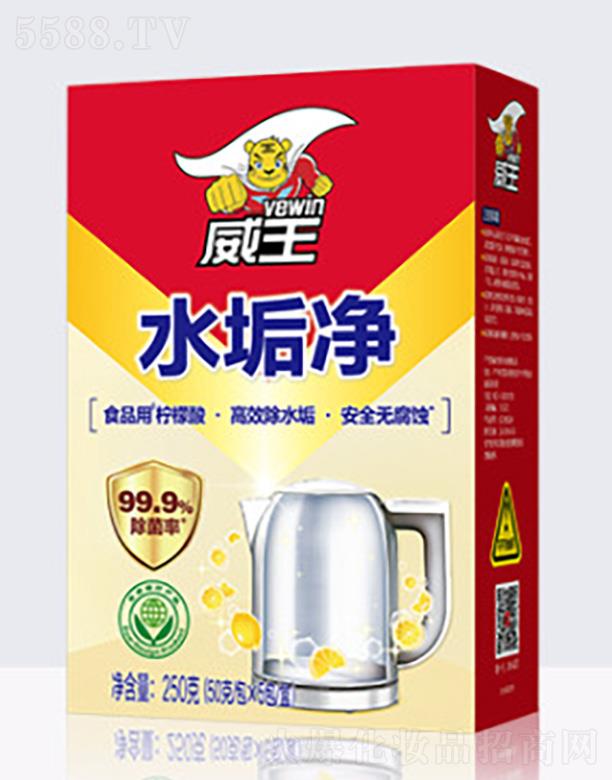 �V�ݳ�������Ƽ����޹�˾������ˮ����