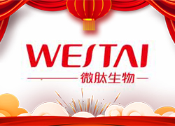 金龍送福，開門大吉！廣州微肽給您拜年了！