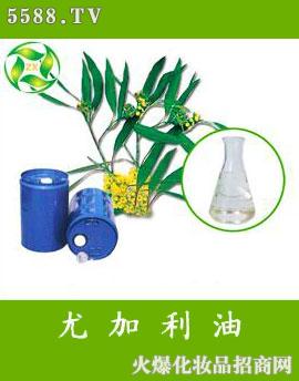 �����ȼ����;���