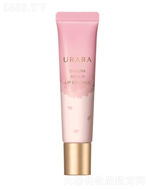 ���Rů�ь��o�������A��12g