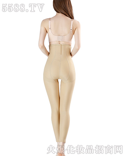 �wɫ�L(zh��ng)ѝ����