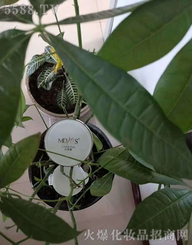 ��|���xCC˪