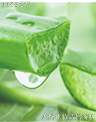 ���w��Ӗ(x��n)