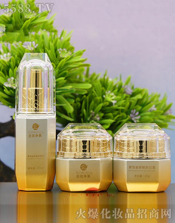 �������R�݌�����n�w������