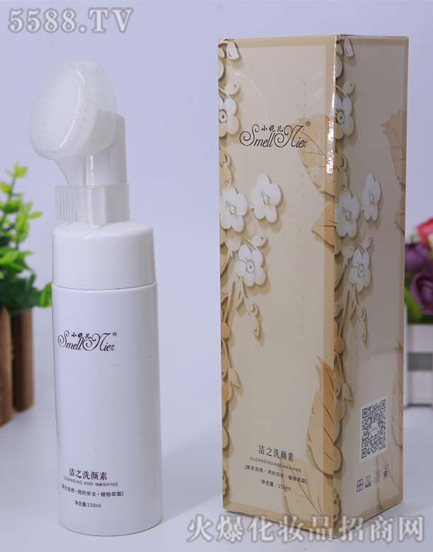 С�݃���֮ϴ���