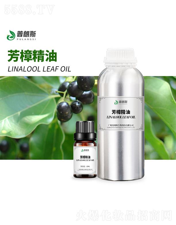 ����˹��������