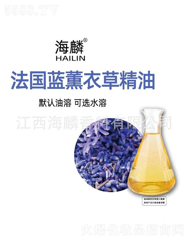 ���뷨���{޹�²ݾ���