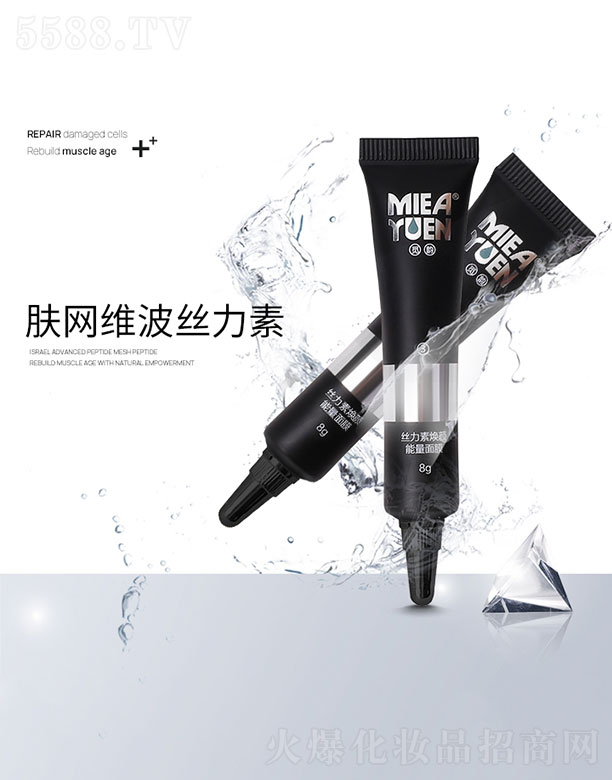 Ғ��w�W�S���z����������Ĥ8g