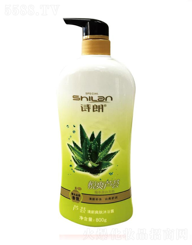 �J�C����ˬ�w��ԡ¶ 800g