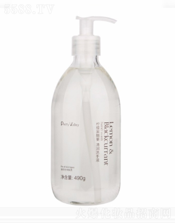 ���ʺڴ����坙ϴ��Һ 490g