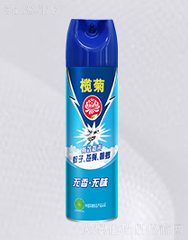 ���x����-�߶���-�o����