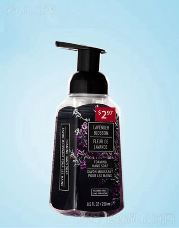 ׿����ĭϴ��Һ 250ml  �H�w��ĭ