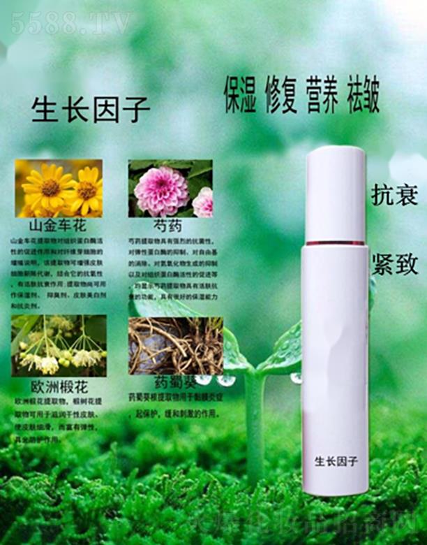 �����ޏ;��A