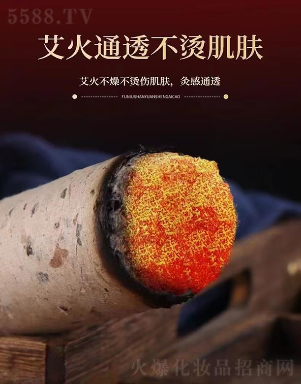 ���ϱP(p��n)�Ű�ʯĥ���q