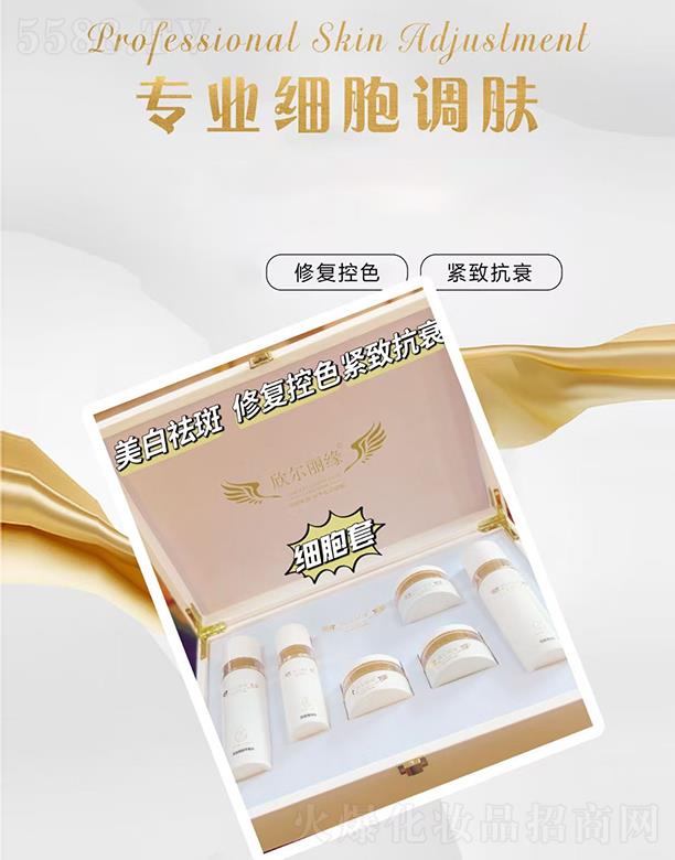 ����������(x��)����