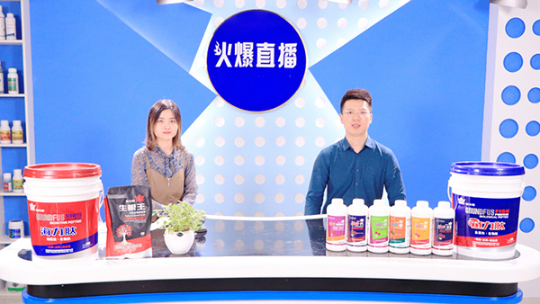 熱烈歡迎石佛園區(qū)運營中心魏主任一行蒞臨火爆網(wǎng)參觀指導(dǎo)!7 熱烈歡迎石佛園區(qū)運營中心魏主任一行蒞臨火爆網(wǎng)參觀指導(dǎo)!7