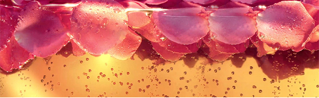 �����鰴Ħ��ϵ��