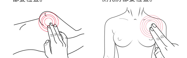 ����ӯ��(d��ng)����