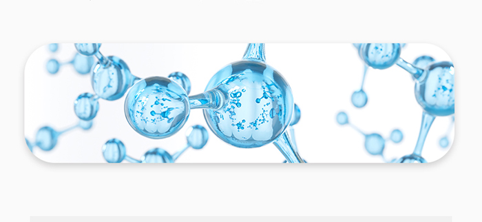 �����{�L�������ԡ¶