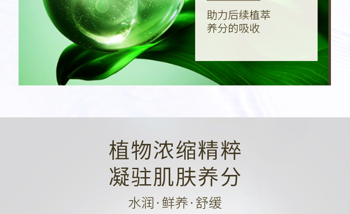 �ŭZ������(r��n)͸��������-